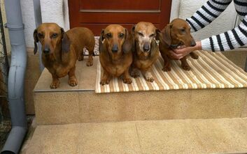 phoca_thumb_l_2017-04-03-1540