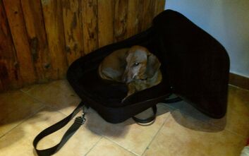 odpocinekpohonu-vpouzdruodborlice