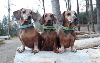 V Klučenáku za hájovnou