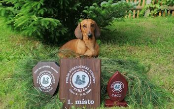 Víkend patřil Cyrilovi!