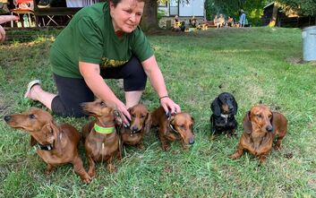 Co se u nás dělo o prázdninách?