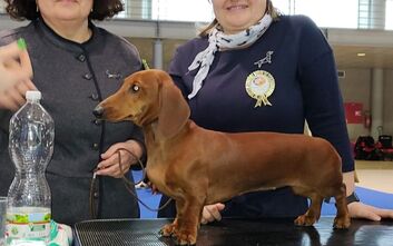 Emily a Elizabet na DUO CACIB Brno
