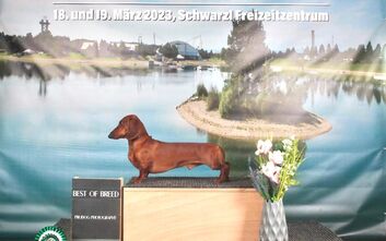 Další úspěchy Dragunowa od Kutilky (Degi)