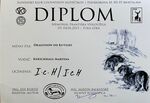 2023_Degi_norník