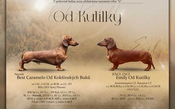 Vrh G očekáváme v lednu